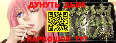 спиды Краснодар