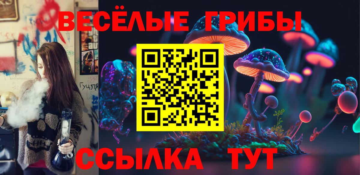 Елец  где найти   Вход с VPN  Галлюциногенные грибы GOLDEN TEACHER  Галлюциногенные грибы Psilocybe 