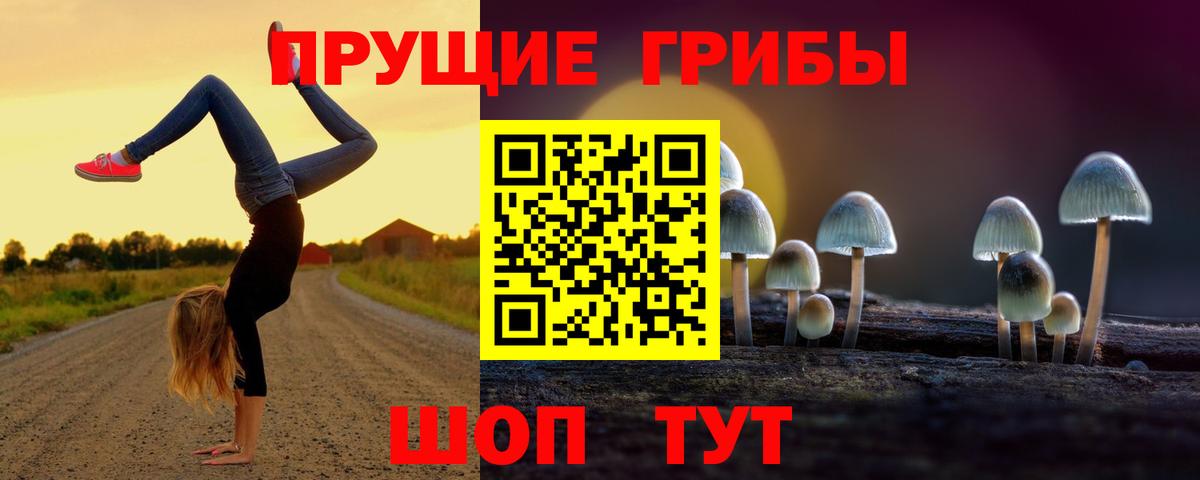 Галлюциногенные грибы Psilocybine cubensis Елец